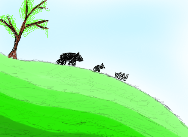 bear mom