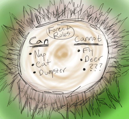 forest rules (2)