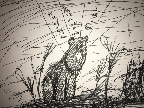 bear-drawing-pen