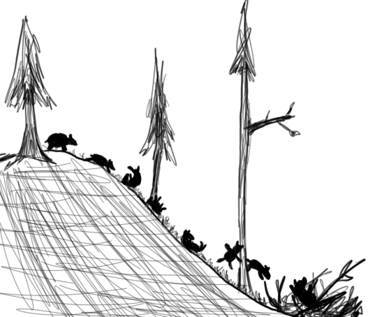 falling-down-a-hill-2